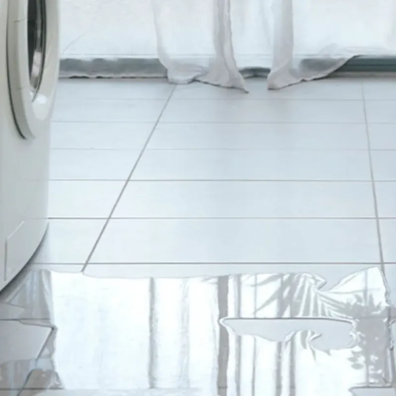 Appliance Leak Cleanup in Troy, MI