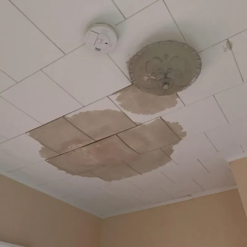 Ceiling Water Damage Repair in Troy, MI