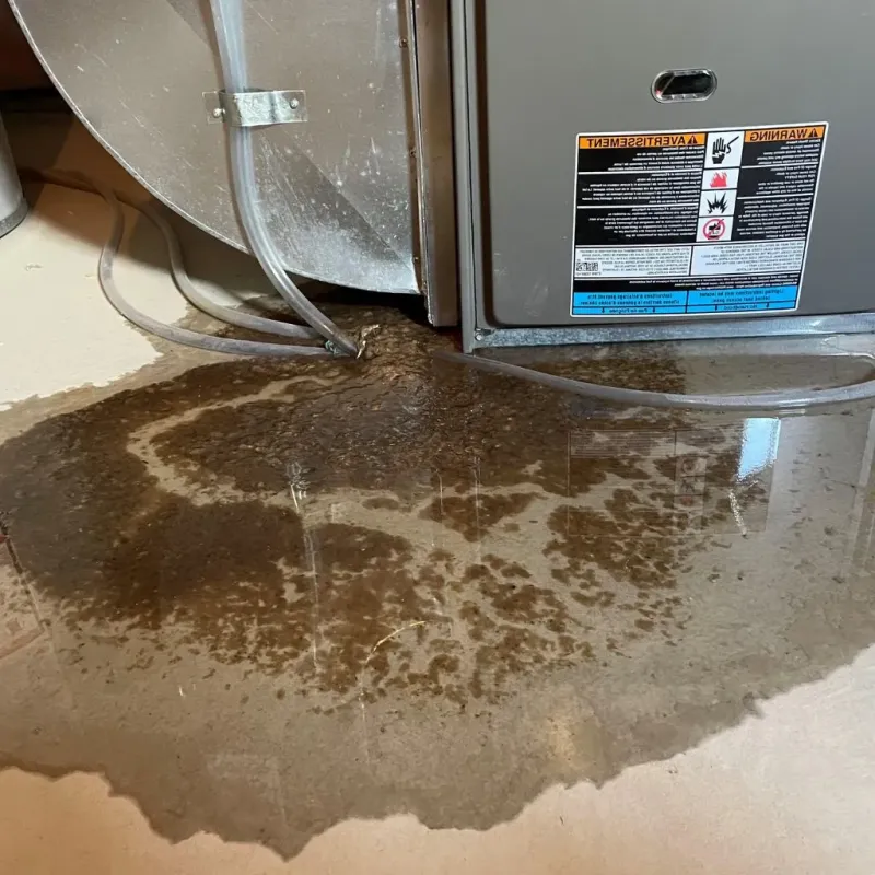 Pipe Burst and Leak Restoration in Troy, MI